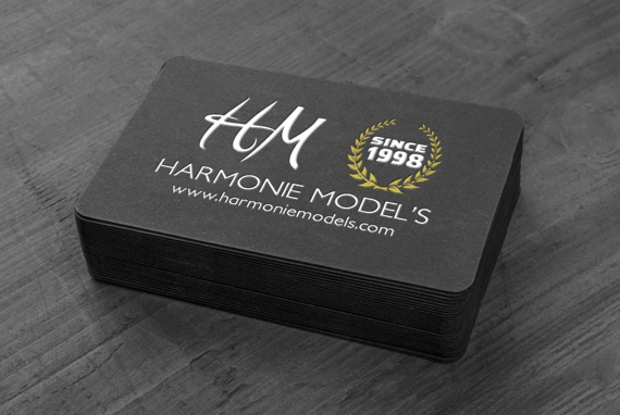 Harmonie Model's : agence de mannequin à Clermont-Ferrand dans le Puy-de-Dôme (63)